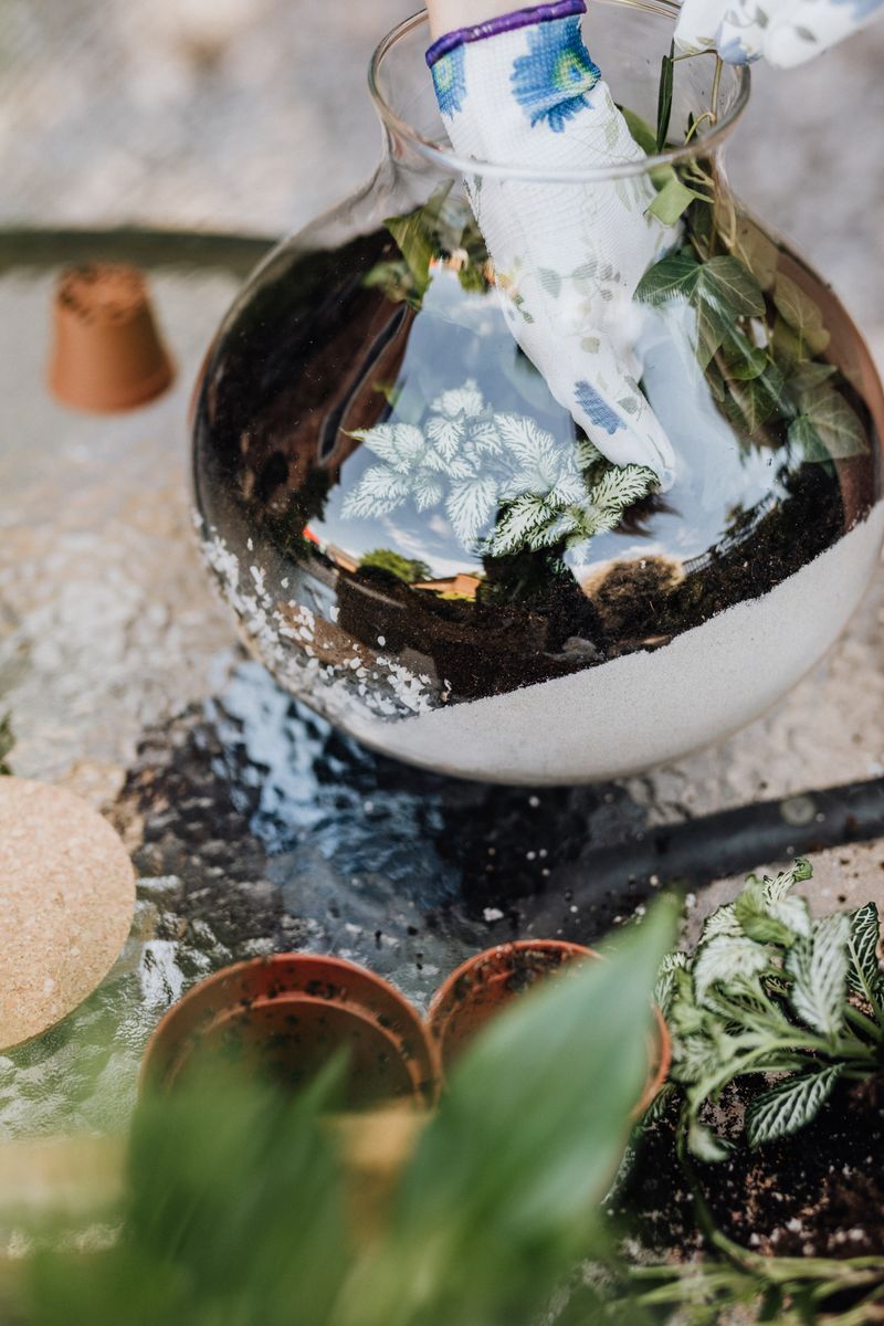 Glass bowl terrarium on a table