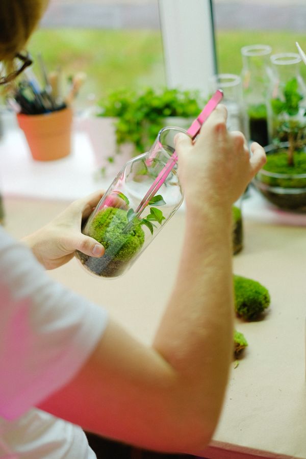 Hands planting moss inside a glass jar