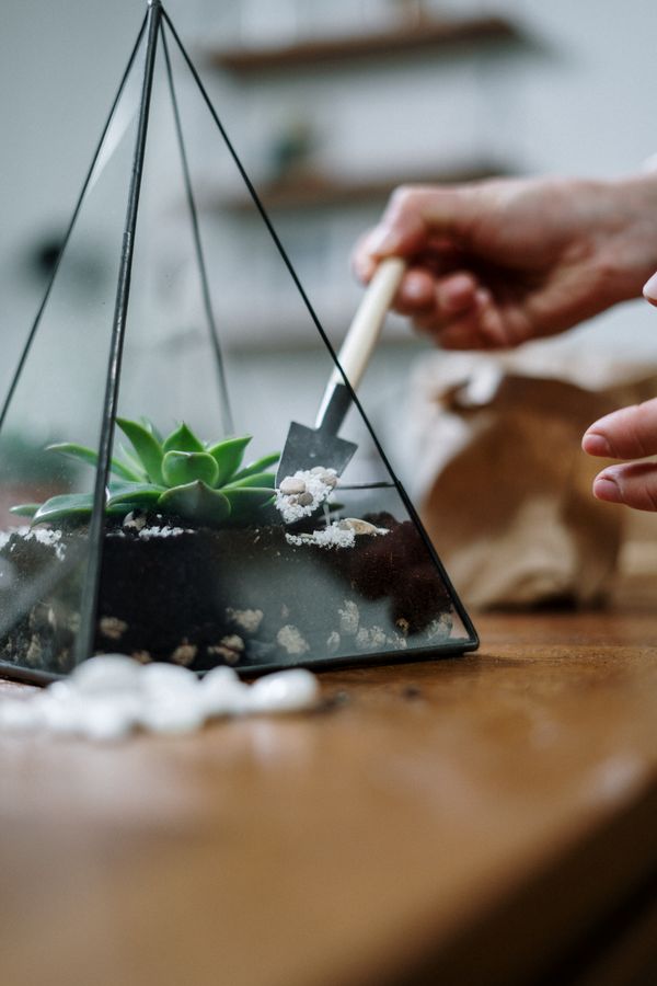 Terrarium Tool Set